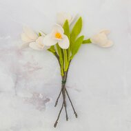 Meaningful Crafts - Bloom Box Pakket Viltbloemen