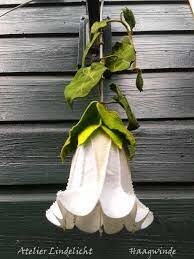 Lindelicht Viltpakket Seizoenenlamp - Haagwinde | Speel je Wijs