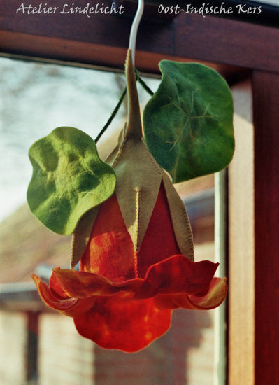 Lindelicht Viltpakket Seizoenenlamp - Oost-Indische Kers | Speel je Wijs