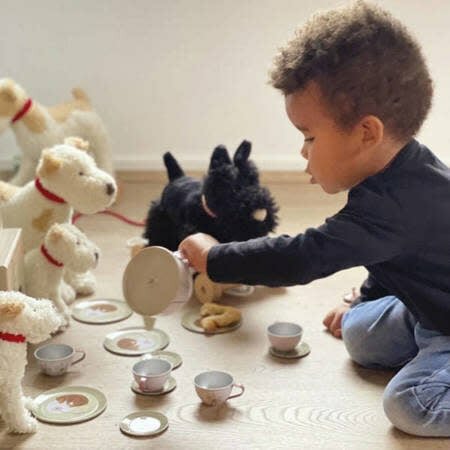 Egmont Toys Theeset in Rieten mand - Bos | Speel je Wijs