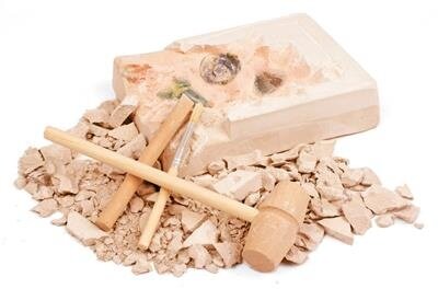 Moses Expeditie Natuur Uithakset Fossielen | Speel je Wijs