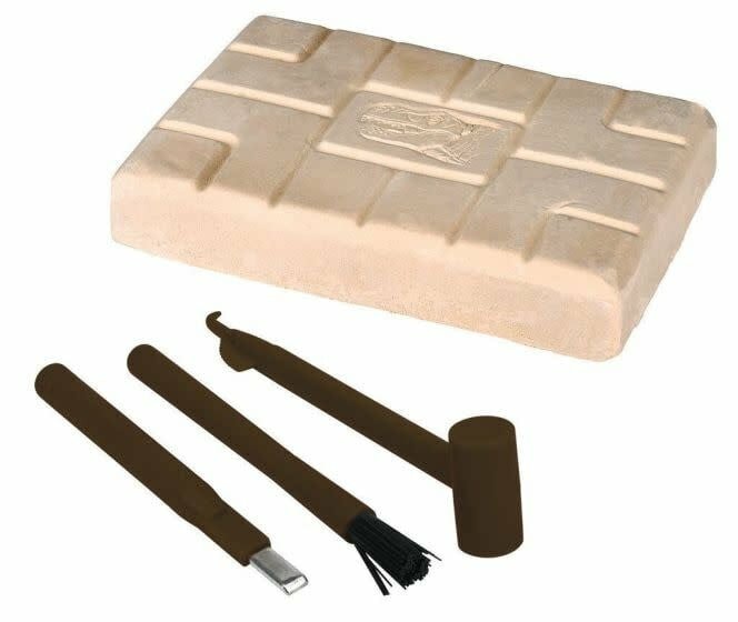 Moses-Dino uithakset T-Rex