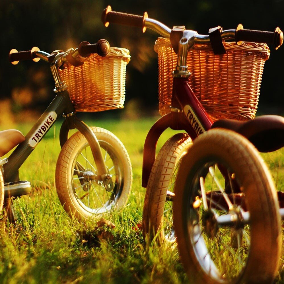 Trybike Fietsmand van Kunstriet