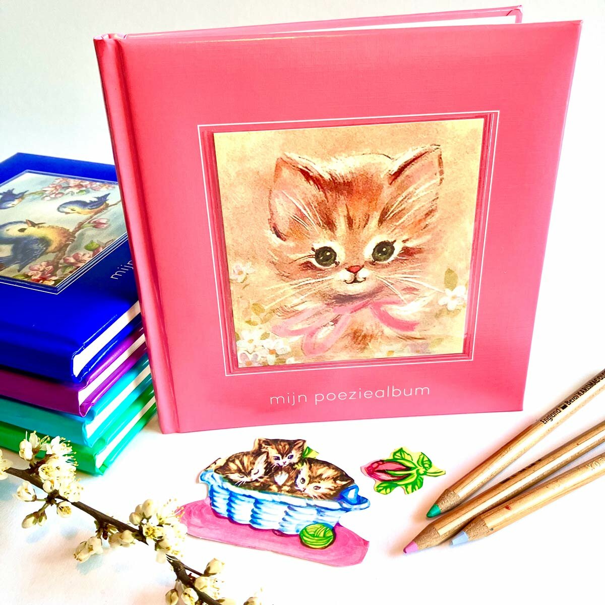 Mijn Poëzie Album Roze | Speel je Wijs