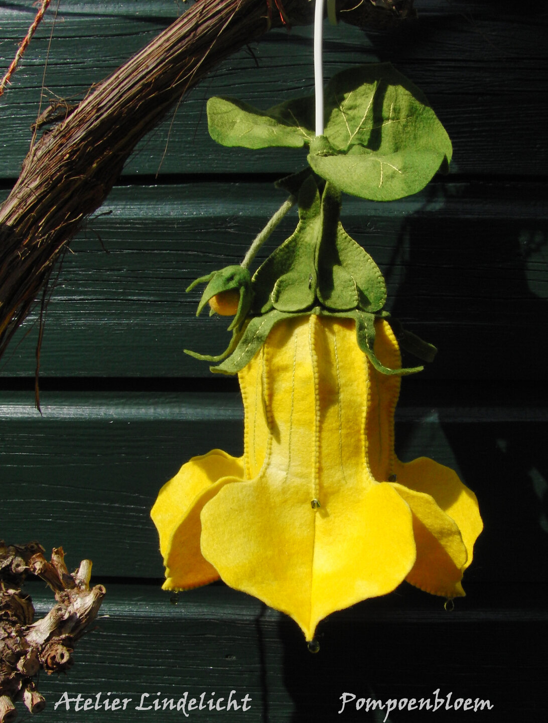 Lindelicht Viltpakket Seizoenenlamp - Pompoenbloem | Speel je Wijs