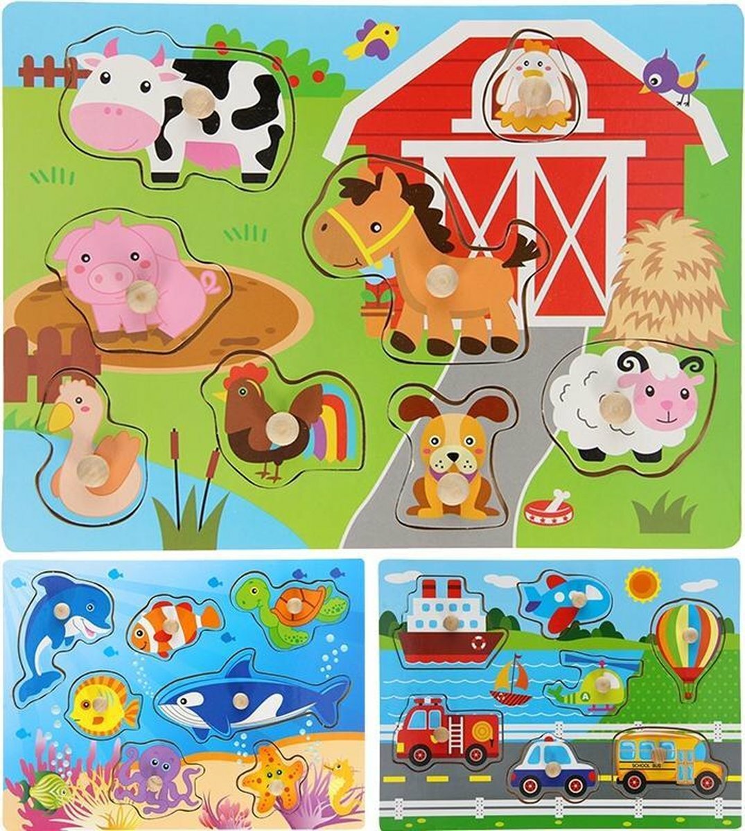 Houten Inlegpuzzel (knoppenpuzzel) (per stuk)