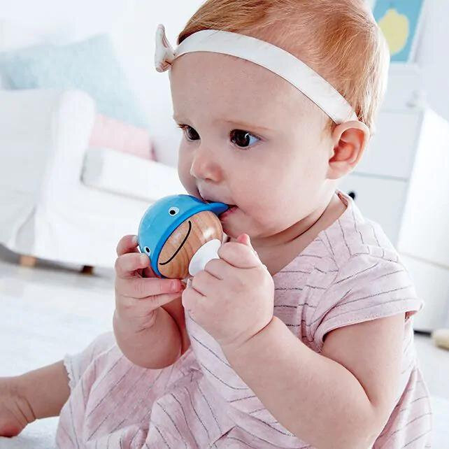 Hape | Rammelaarset met zuignapjes 0+ | Speel je Wijs