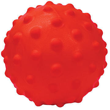 Super Ball Nobbie 20cm