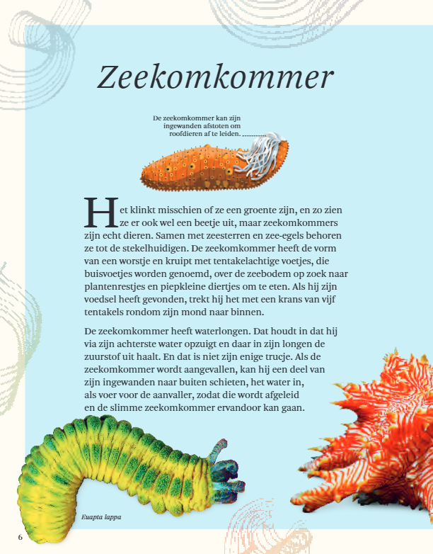 Het Dikke boek van alles wat leeft in het water (7+) | Speel je Wijs