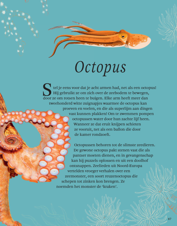 Het Dikke boek van alle Bijzondere Dieren (7+) | Speel je Wijs