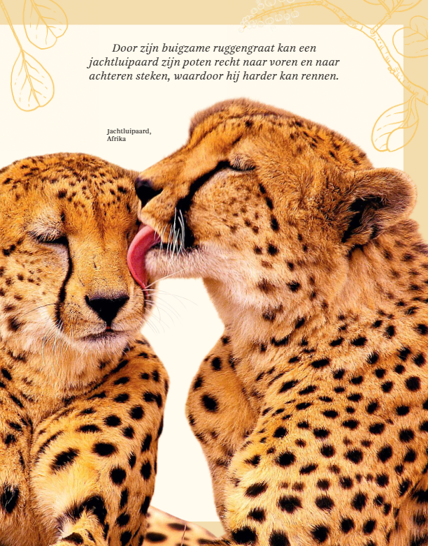 Het Dikke boek van alle Bijzondere Dieren (7+) | Speel je Wijs