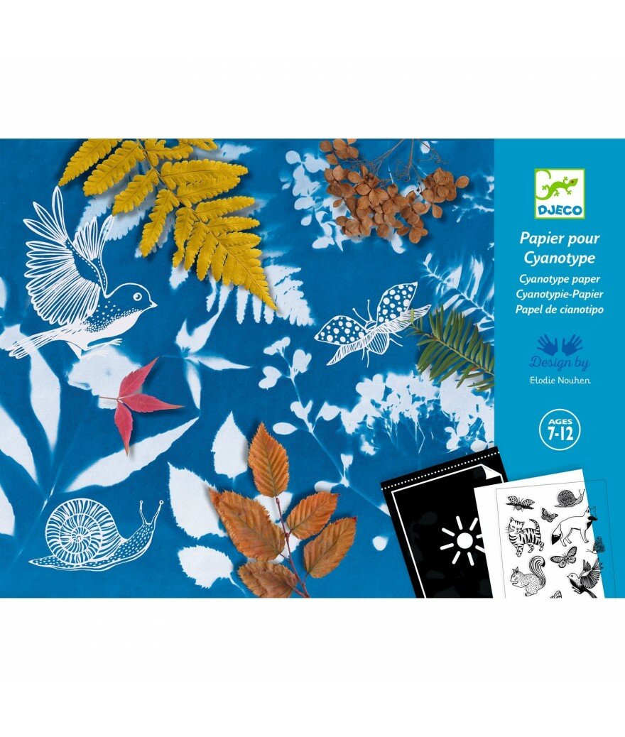 Djeco Atelier | Cyanotype Papier Starterkit 7+| Speel je wijs