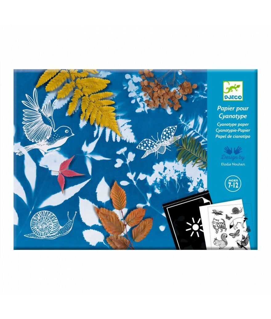 Djeco Atelier | Cyanotype Papier Starterkit 7+| Speel je wijs