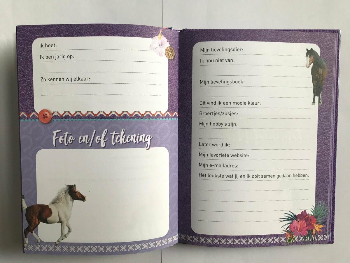 Vriendenboek Paarden | Speel je Wijs