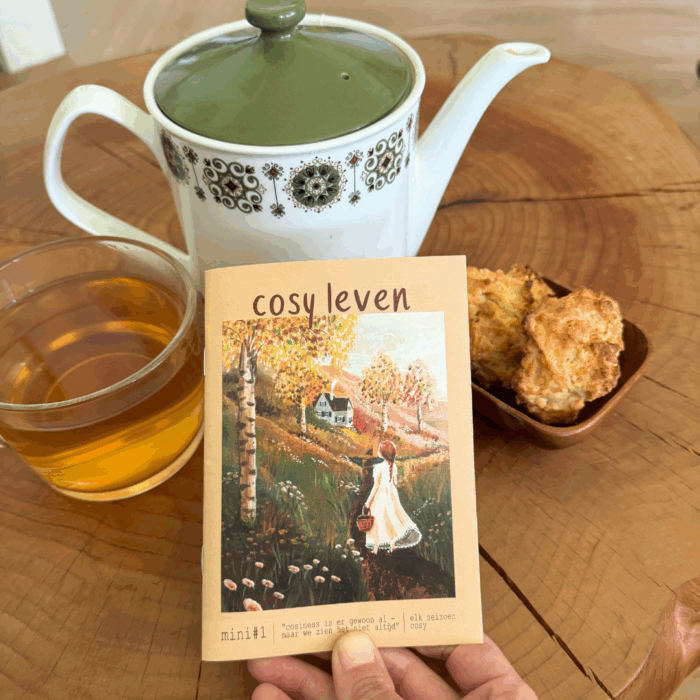 Esther Bennink Mini Magazine - Cosy Leven | Speel je Wijs