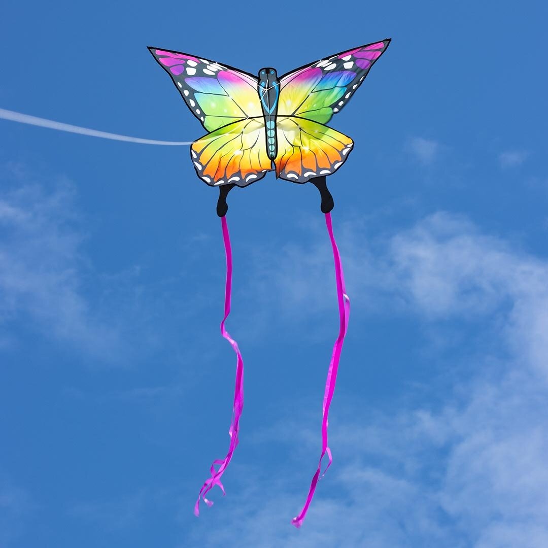Vlinder Regenboog Vlieger | Speel je Wijs