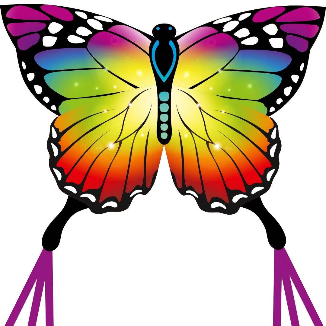 Vlinder Regenboog Vlieger | Speel je Wijs