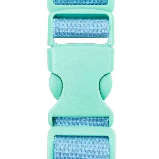 Djeco Heuptas Skelet| Speel je Wijs