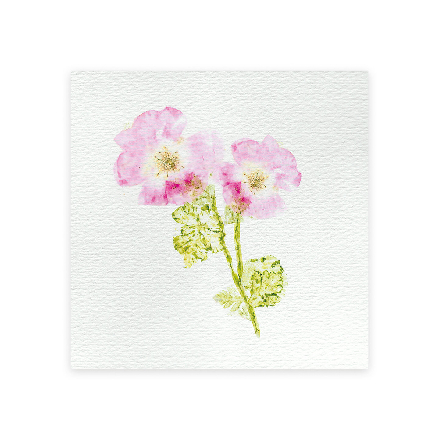 Janod Atelier Deco - Bloemenpers | Speel je Wijs