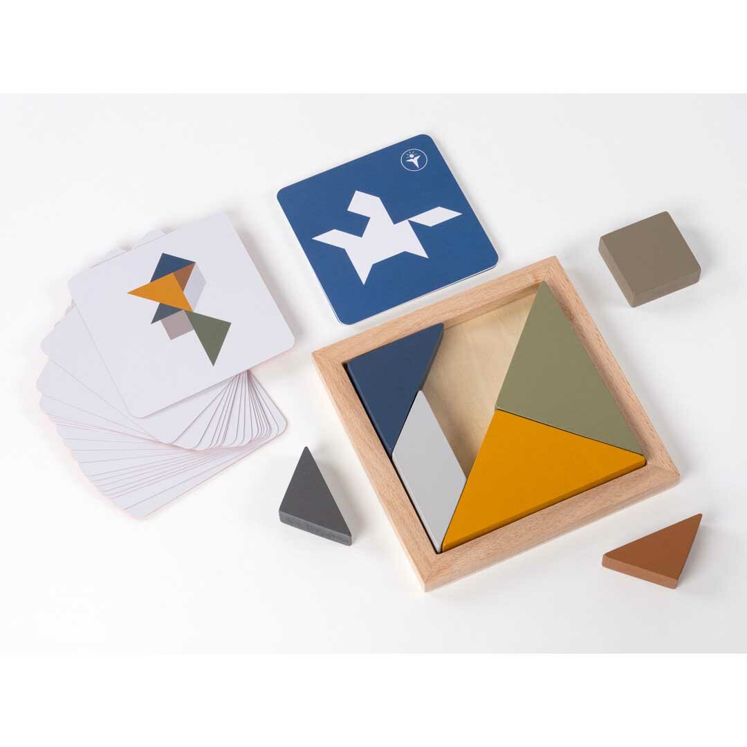 Recent Toys -Tangram 4 Elements | Speel je Wijs
