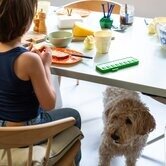 Gezinnig Checkpad Rood | Speel je Wijs