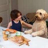 Gezinnig Checkpad Rood | Speel je Wijs