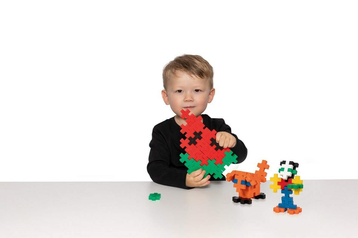 Plus Plus - BIG Plus - Tube basic | Speel je Wijs