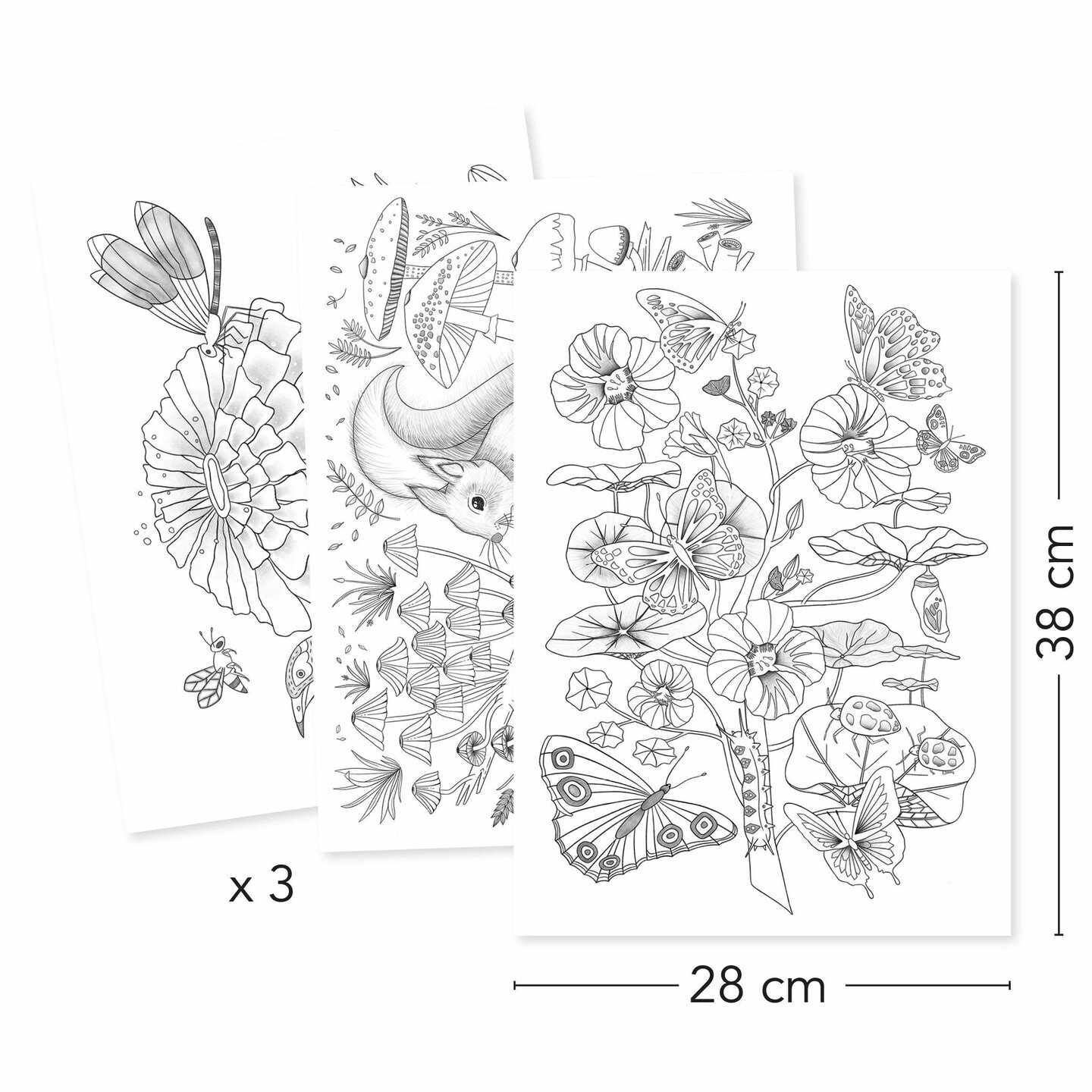 Djeco Kleurplaten - Naturalist | Speel je Wijs