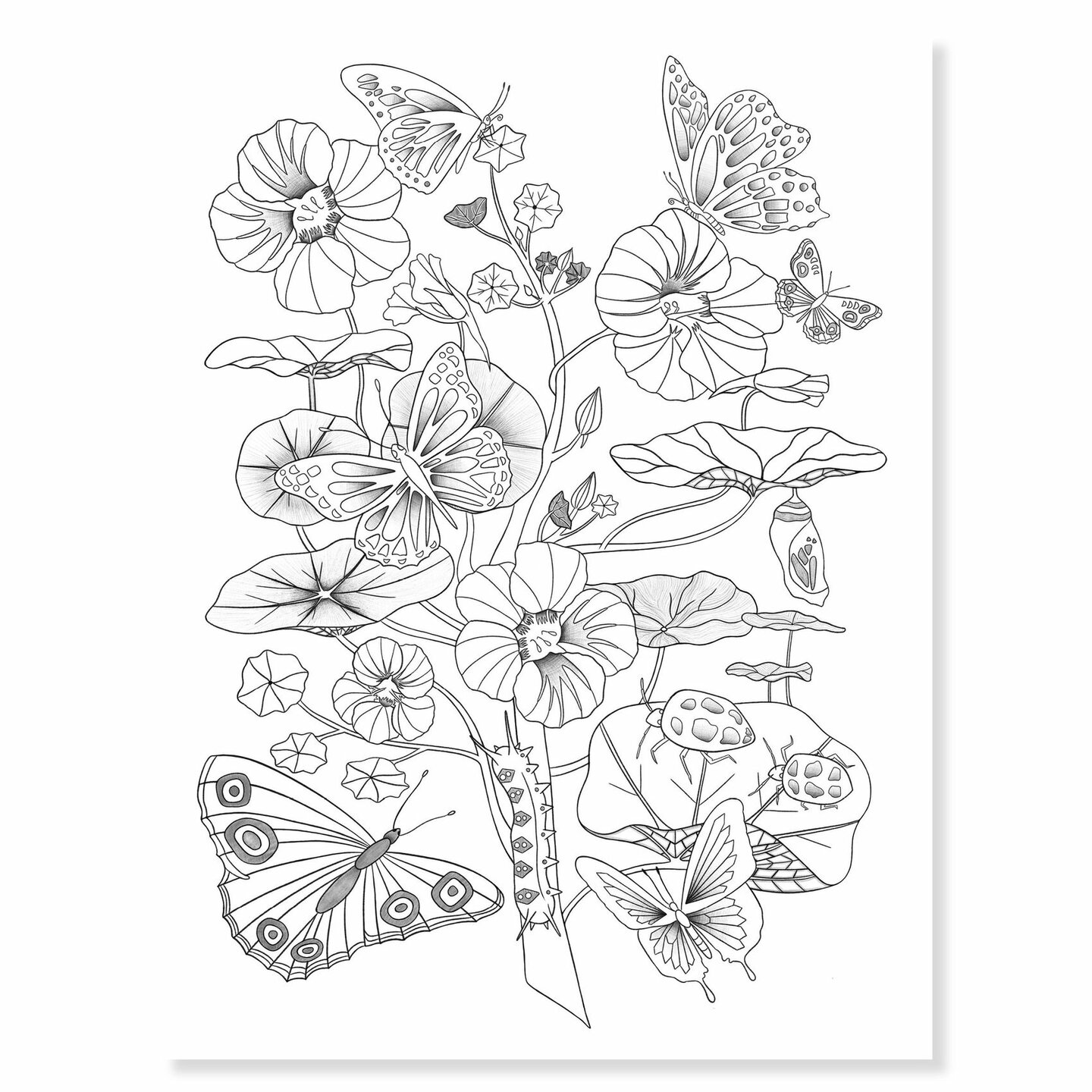 Djeco Kleurplaten - Naturalist | Speel je Wijs