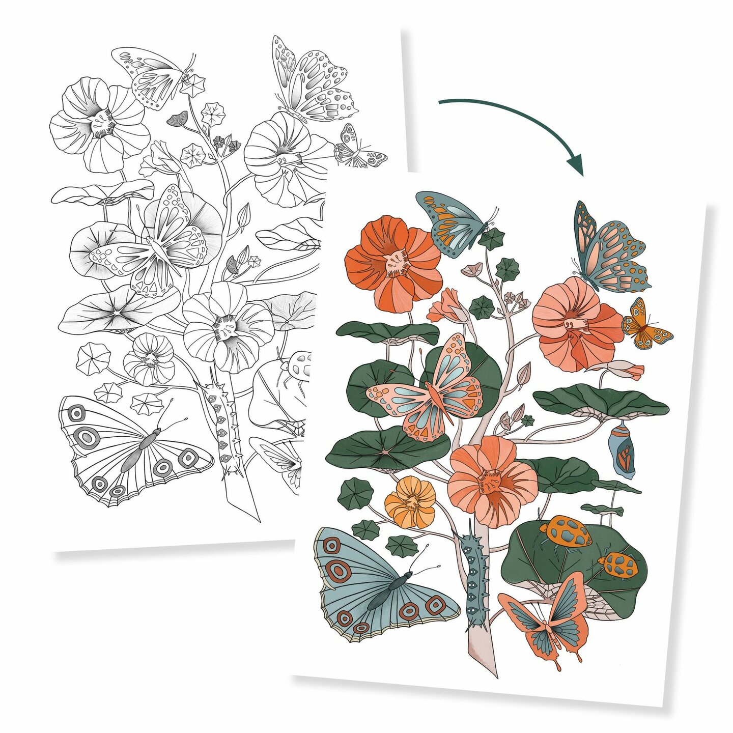Djeco Kleurplaten - Naturalist | Speel je Wijs
