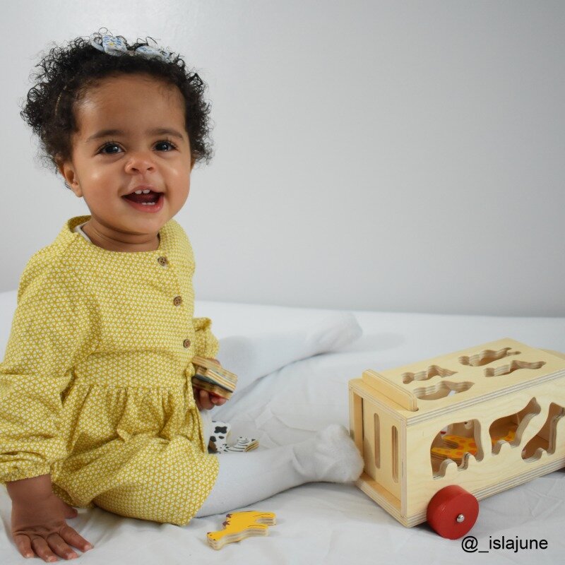 Bigjigs Vormenwagen Dieren | Speel je Wijs