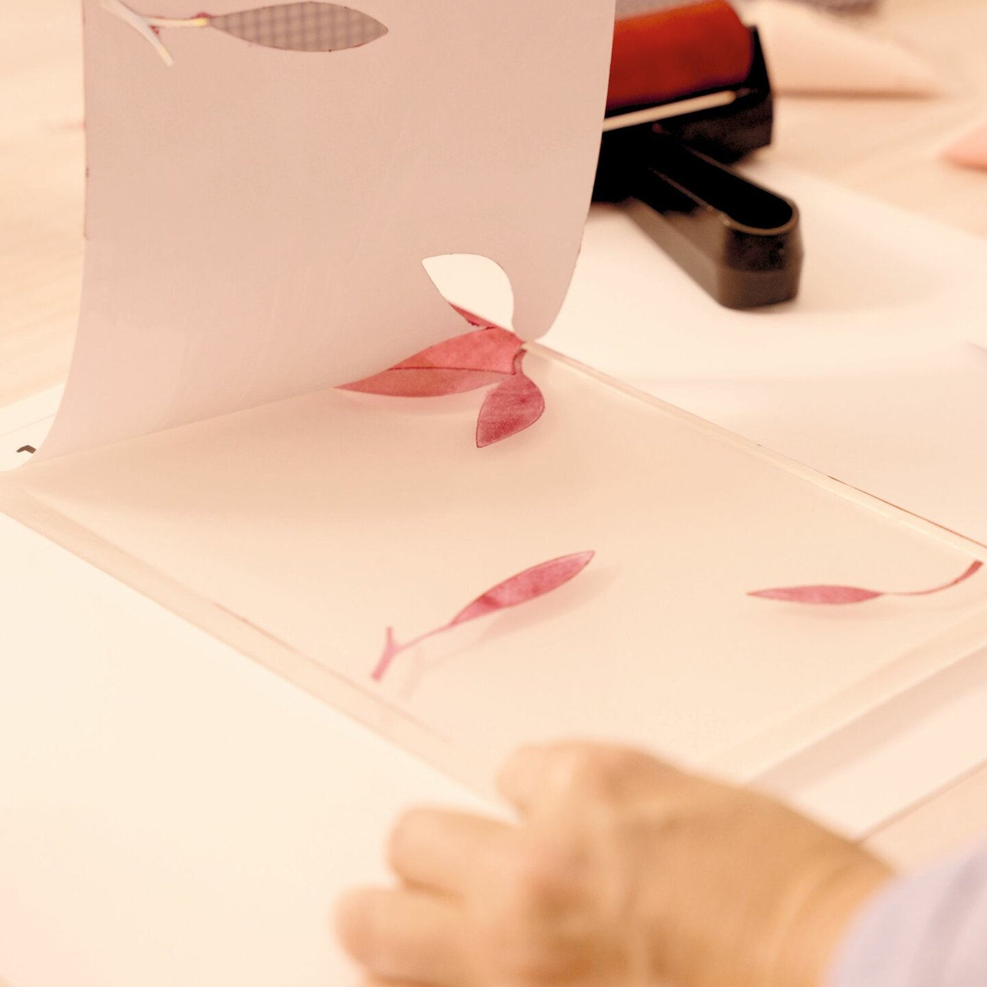 Djeco Knutselset Atelier 46  Afdrukken - Gel Printing 15+ | Speel je Wijs