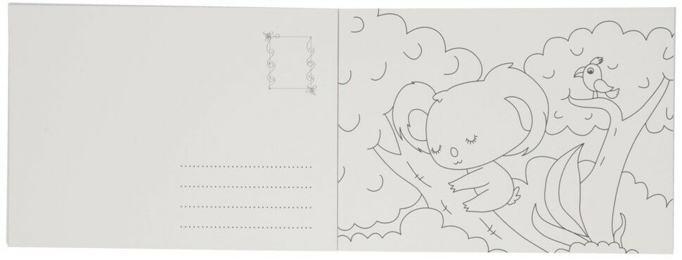 Wins Postkaarten om te Kleuren - Wilde Dieren | Speel je Wijs