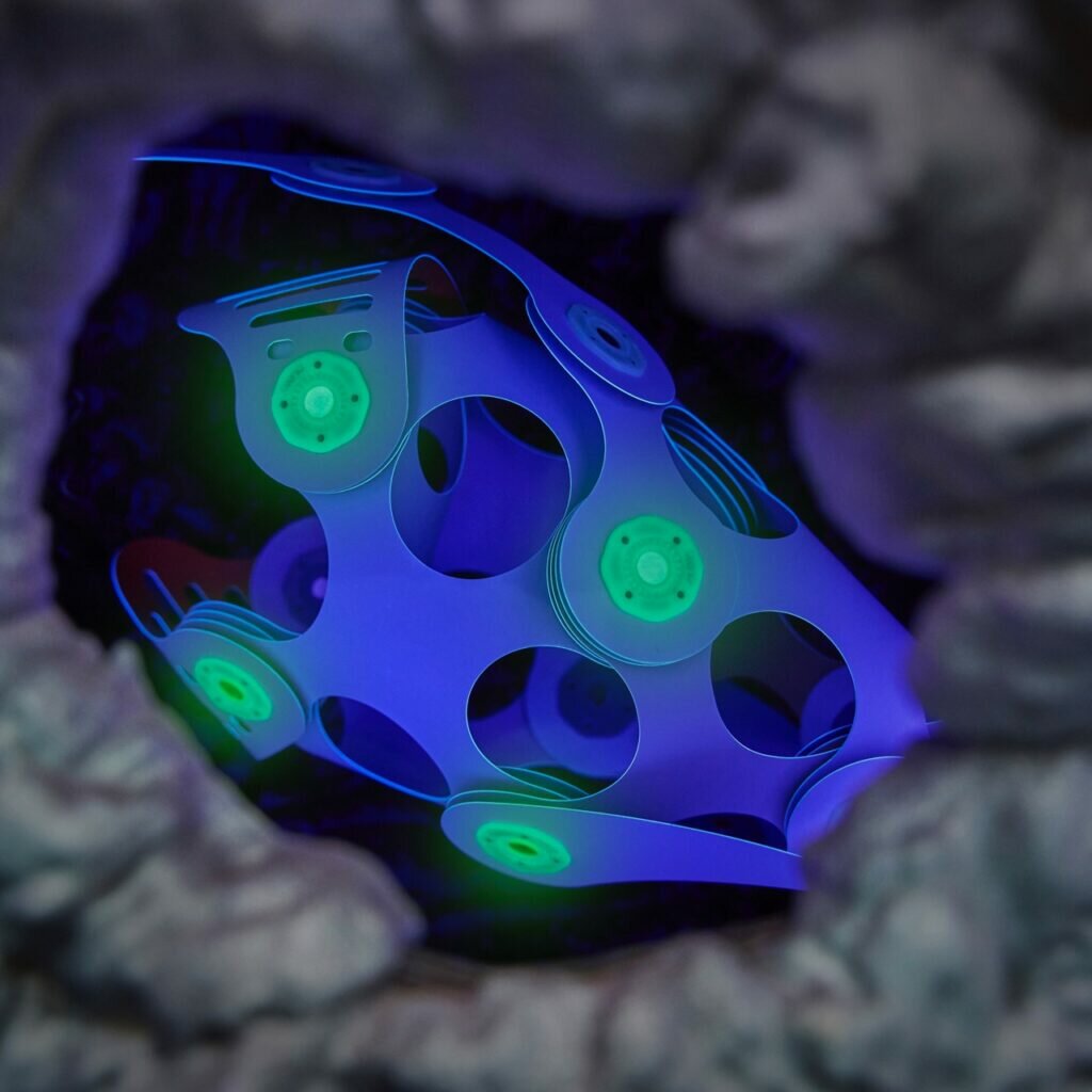 Clixo Ocean Creatures | Speel je Wijs