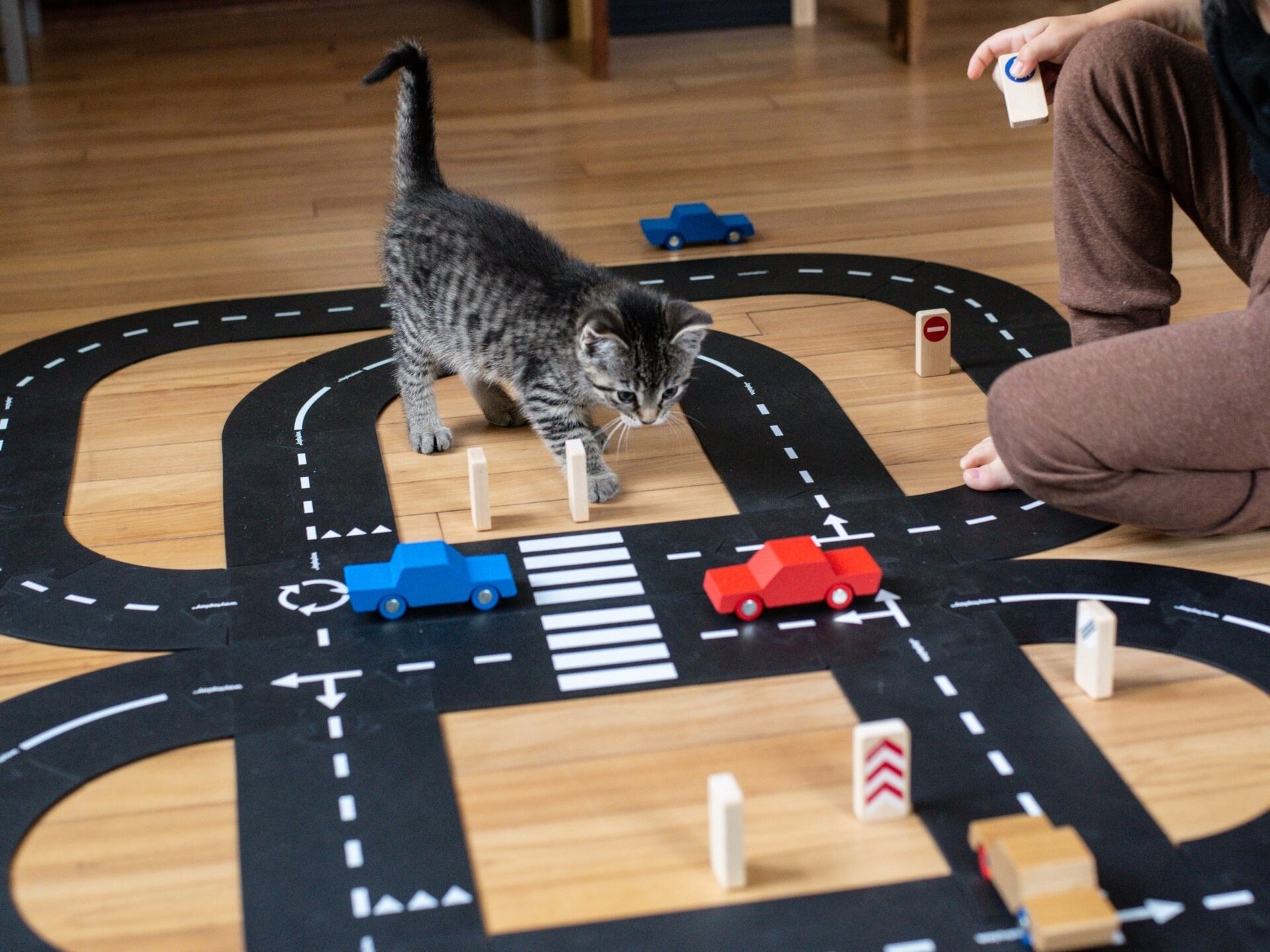 Waytoplay King of the road - Car Edition - Set van 42| Speel je Wijs