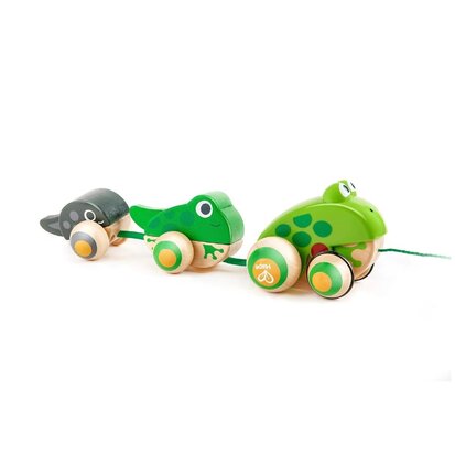 Hapé Pull-Along Frog Family