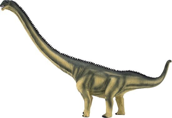 Mojo  Dinosaurus  Mamenchisaurus