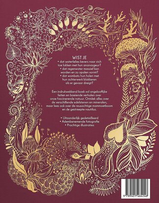 Lannoo | Het Dikke Boek van Alles wat Leeft in de Natuur 7+