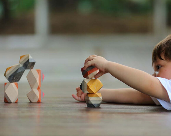 Plan Toys | Geometrische Blokken 3+