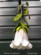 Lindelicht Viltpakket Seizoenenlamp - Haagwinde | Speel je Wijs