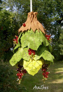 Lindelicht Viltpakket Seizoenenlamp - Aalbes | Speel je Wijs