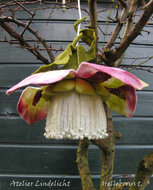 Lindelicht Viltpakket Seizoenlamp - Helleborus | Speel je Wijs