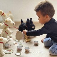 Egmont Toys Theeset in Rieten mand - Bos | Speel je Wijs