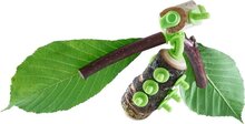 HABA Terra Kids Connectors Constructieset Dieren