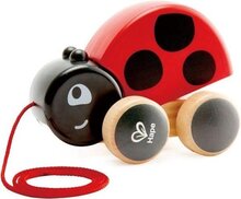 Hape-Trekdier Lieveheersbeestje