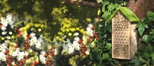 Expeditie Natuur- Bijenhotel