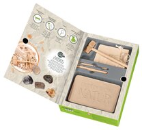 Moses Expeditie Natuur Uithakset Fossielen | Speel je Wijs