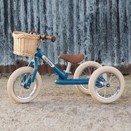 Trybike Fietsmand van Kunstriet
