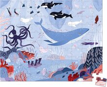 Puzzel de IJszee  100 stukjes
