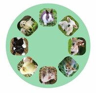 Moses Projector Diashow Dierenbaby's